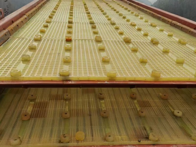 耐磨聚氨酯筛网